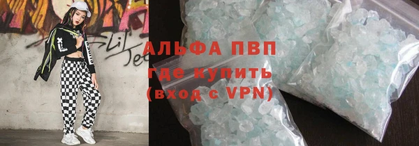 стаф Богданович