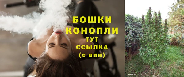 стаф Богданович