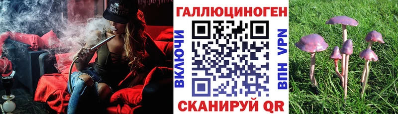 сколько стоит  Красный Холм  МЕГА рабочий сайт  Псилоцибиновые грибы мицелий 