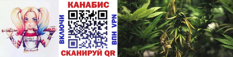 МАРИХУАНА THC 21%  Красный Холм 